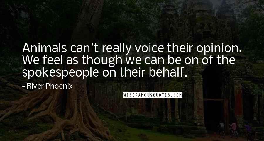 River Phoenix Quotes: Animals can't really voice their opinion. We feel as though we can be on of the spokespeople on their behalf.