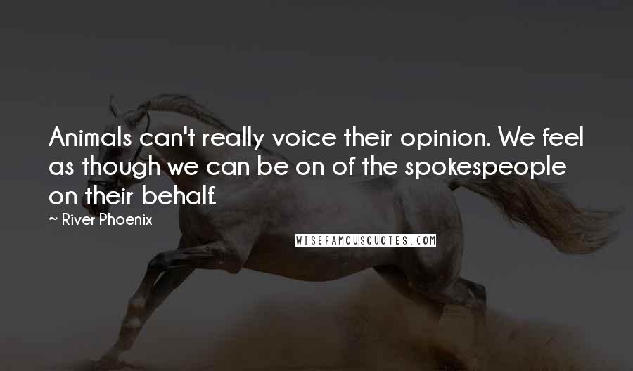 River Phoenix Quotes: Animals can't really voice their opinion. We feel as though we can be on of the spokespeople on their behalf.