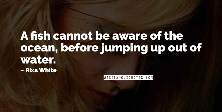 Rixa White Quotes: A fish cannot be aware of the ocean, before jumping up out of water.