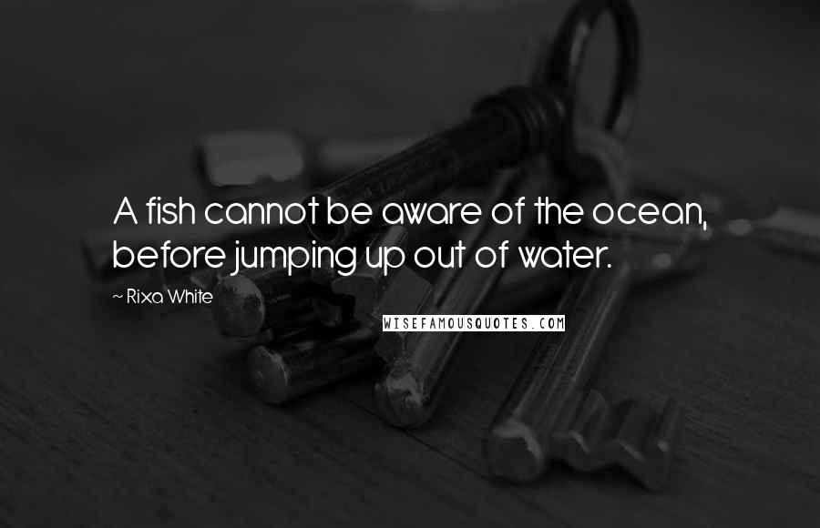Rixa White Quotes: A fish cannot be aware of the ocean, before jumping up out of water.