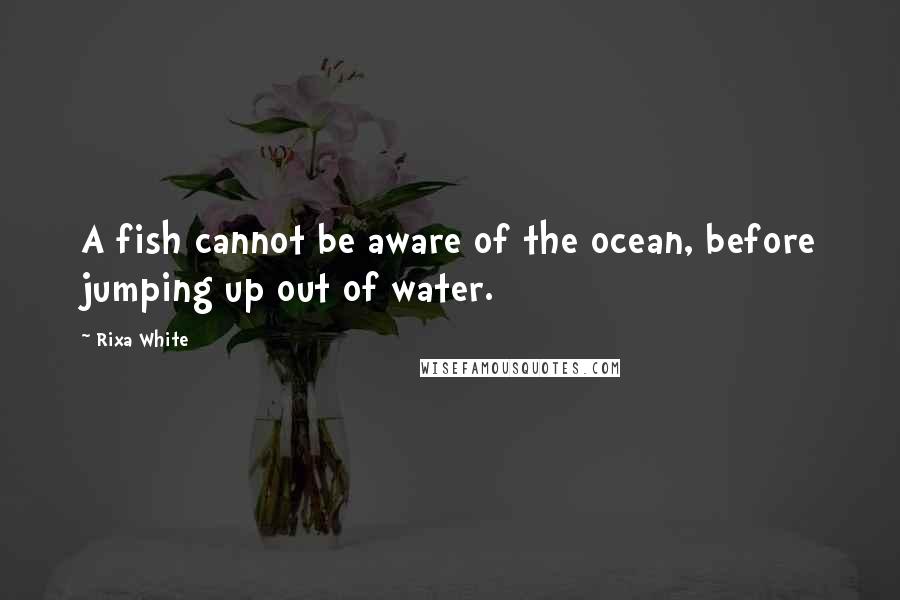 Rixa White Quotes: A fish cannot be aware of the ocean, before jumping up out of water.