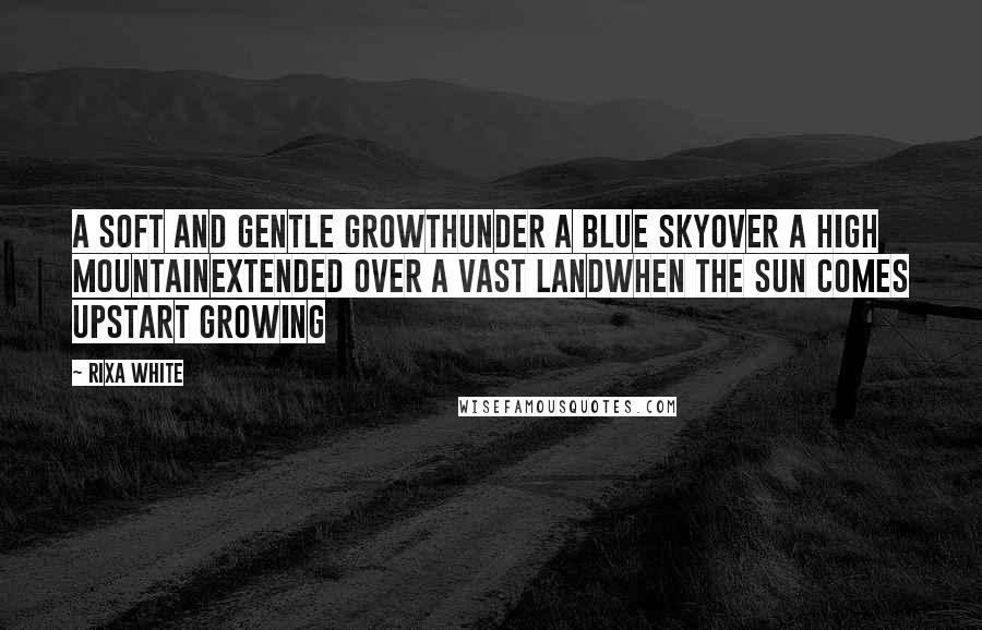 Rixa White Quotes: A soft and gentle growthUnder a blue skyOver a high mountainExtended over a vast landWhen the sun comes upStart growing
