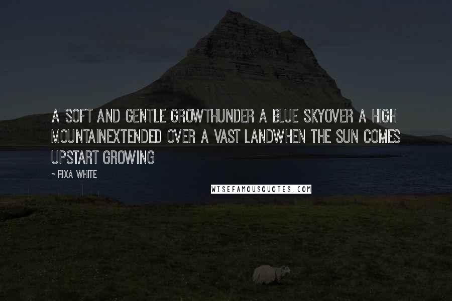 Rixa White Quotes: A soft and gentle growthUnder a blue skyOver a high mountainExtended over a vast landWhen the sun comes upStart growing