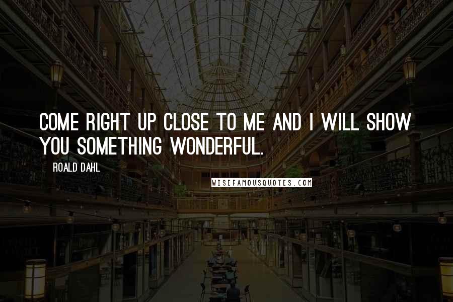 Roald Dahl Quotes: Come right up close to me and I will show you something wonderful.