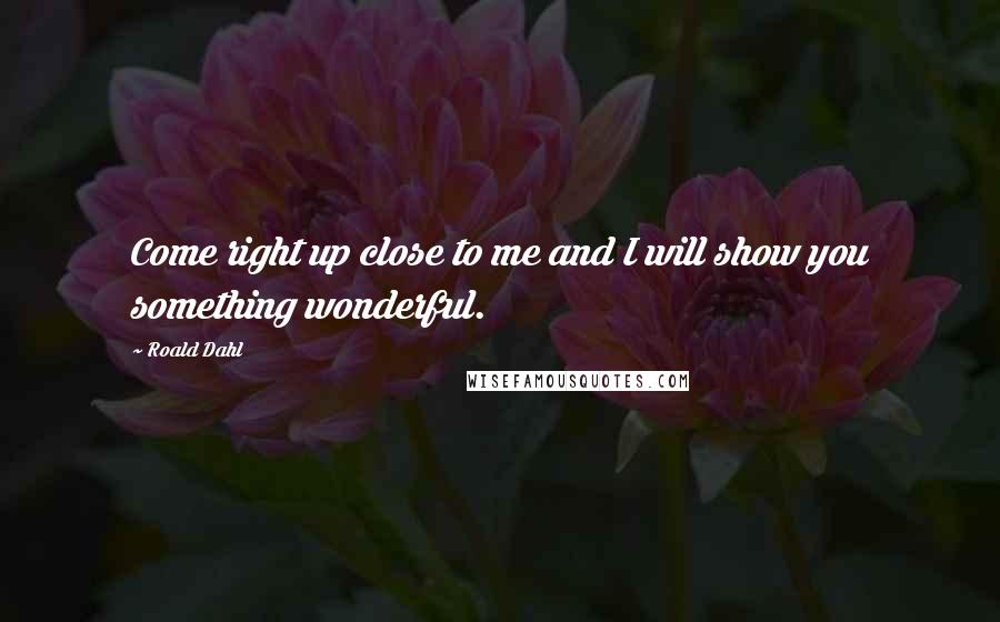 Roald Dahl Quotes: Come right up close to me and I will show you something wonderful.