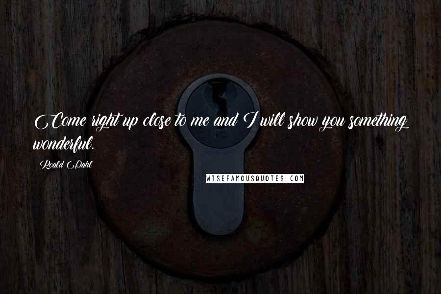 Roald Dahl Quotes: Come right up close to me and I will show you something wonderful.