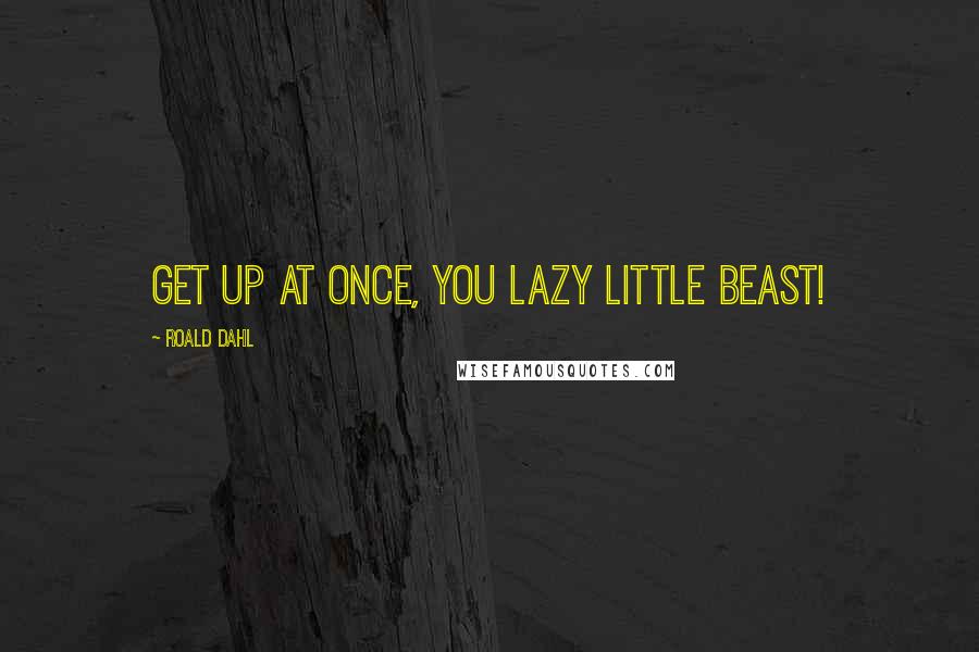 Roald Dahl Quotes: Get up at once, you lazy little beast!