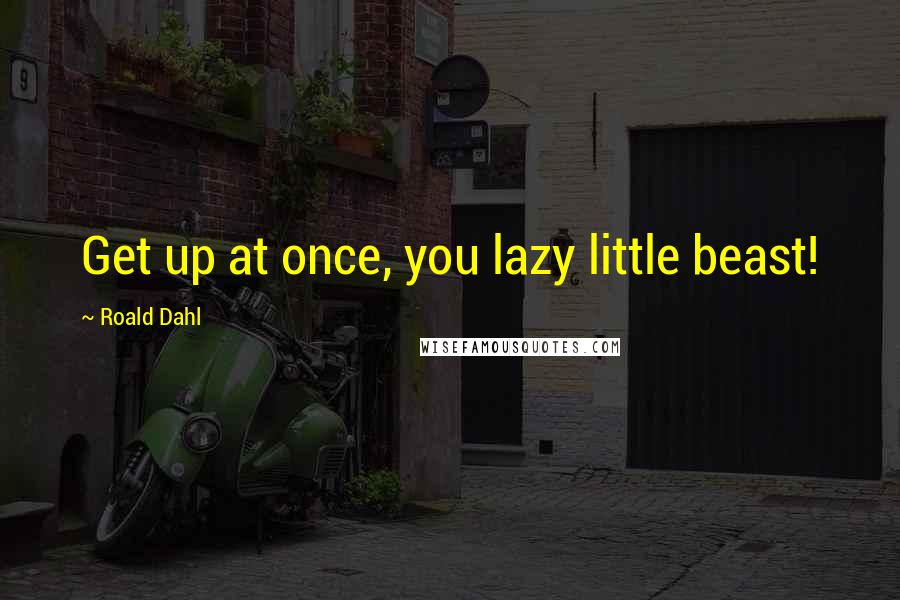 Roald Dahl Quotes: Get up at once, you lazy little beast!