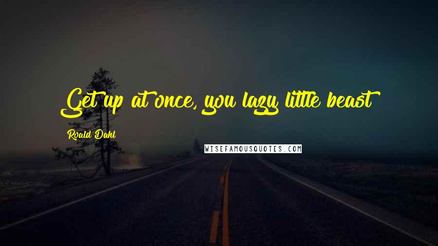 Roald Dahl Quotes: Get up at once, you lazy little beast!