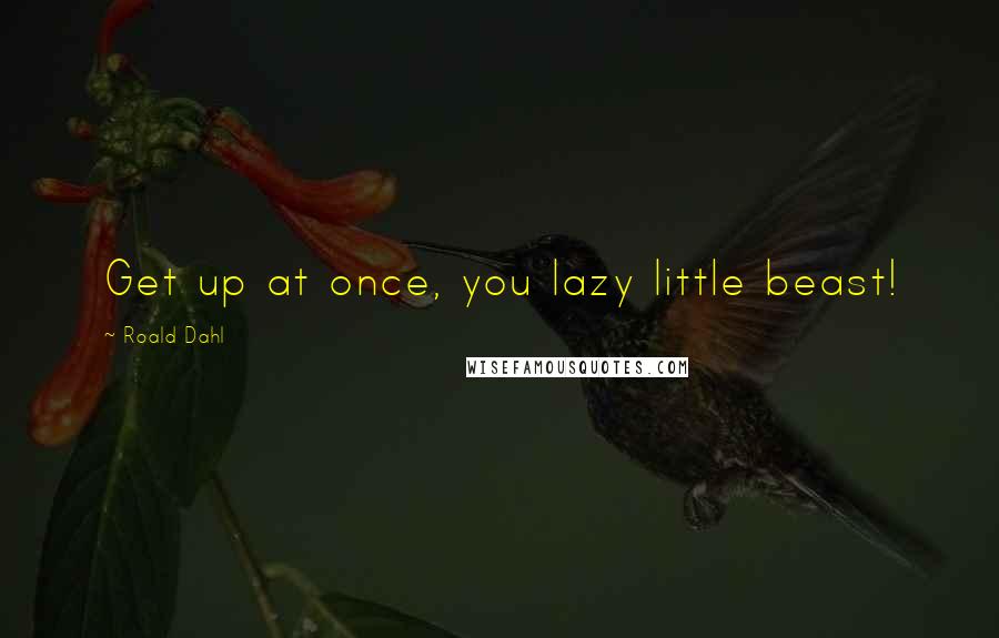 Roald Dahl Quotes: Get up at once, you lazy little beast!