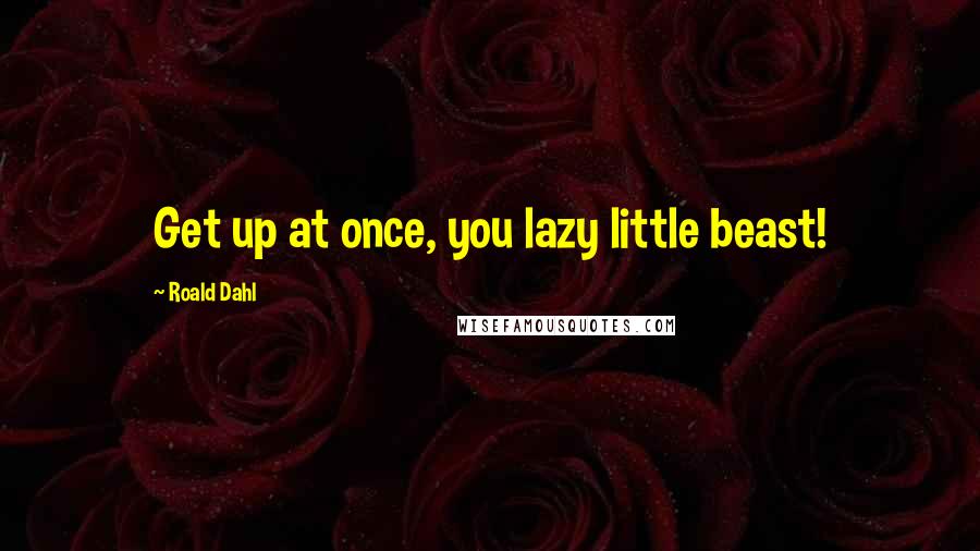 Roald Dahl Quotes: Get up at once, you lazy little beast!