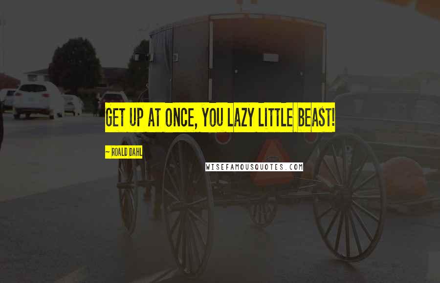 Roald Dahl Quotes: Get up at once, you lazy little beast!