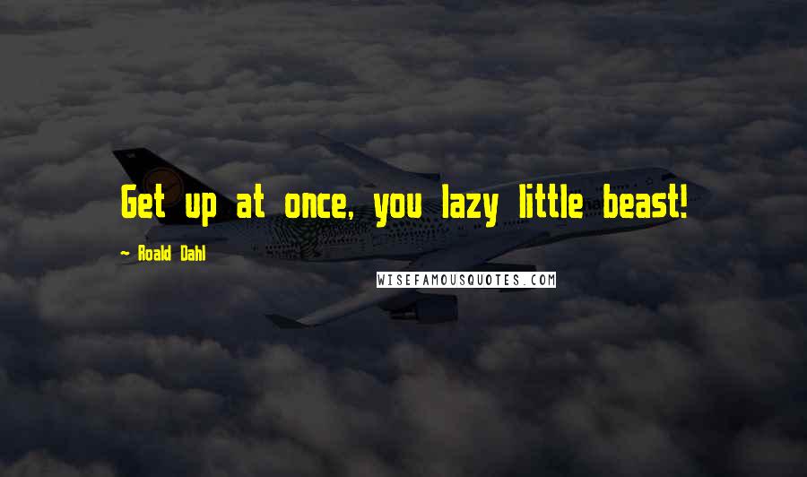 Roald Dahl Quotes: Get up at once, you lazy little beast!