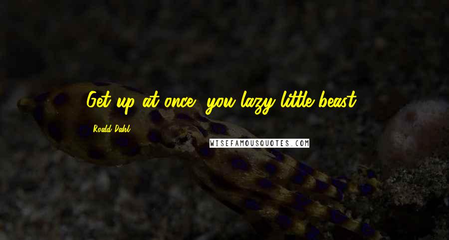 Roald Dahl Quotes: Get up at once, you lazy little beast!