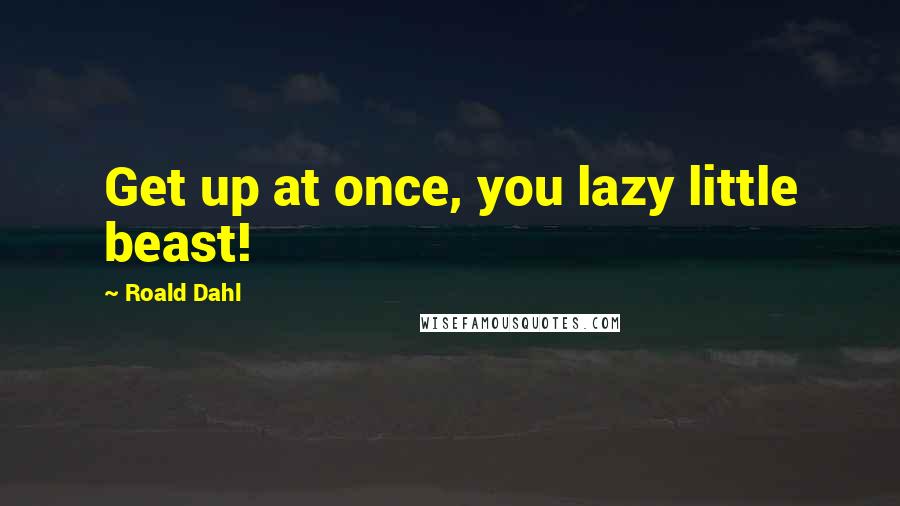 Roald Dahl Quotes: Get up at once, you lazy little beast!