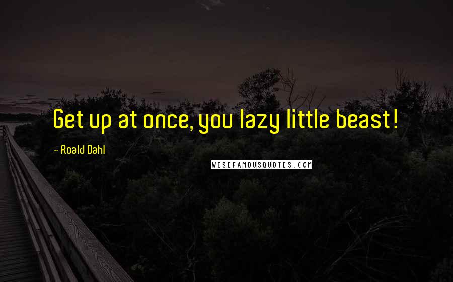Roald Dahl Quotes: Get up at once, you lazy little beast!