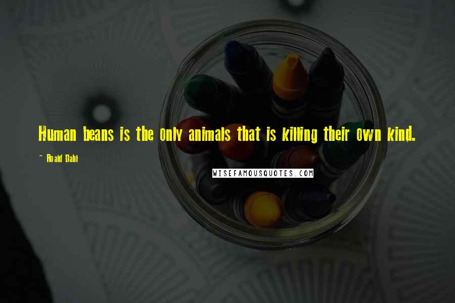 Roald Dahl Quotes: Human beans is the only animals that is killing their own kind.