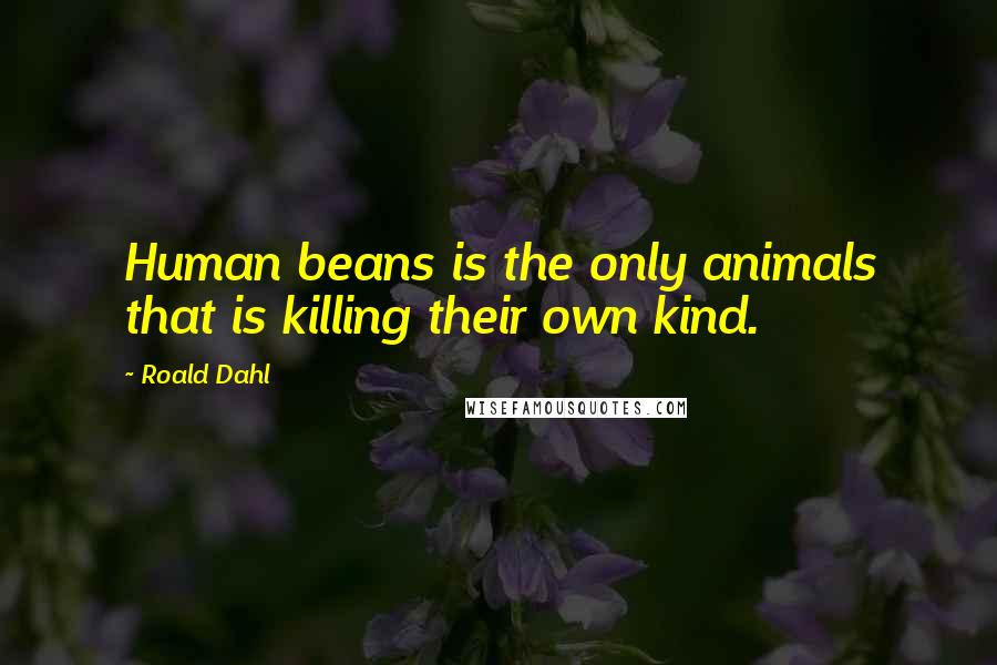 Roald Dahl Quotes: Human beans is the only animals that is killing their own kind.