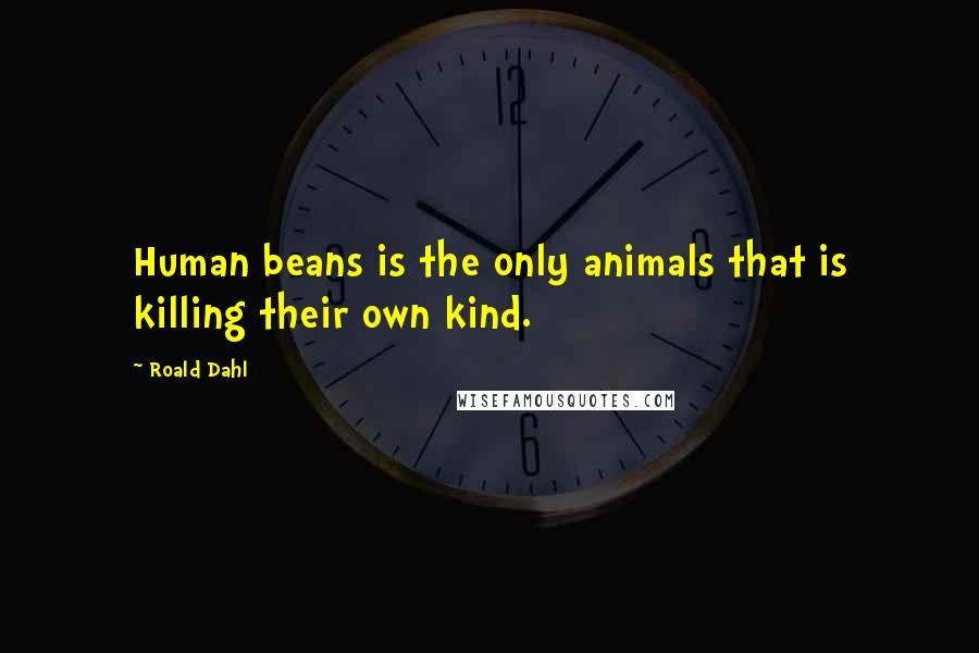 Roald Dahl Quotes: Human beans is the only animals that is killing their own kind.