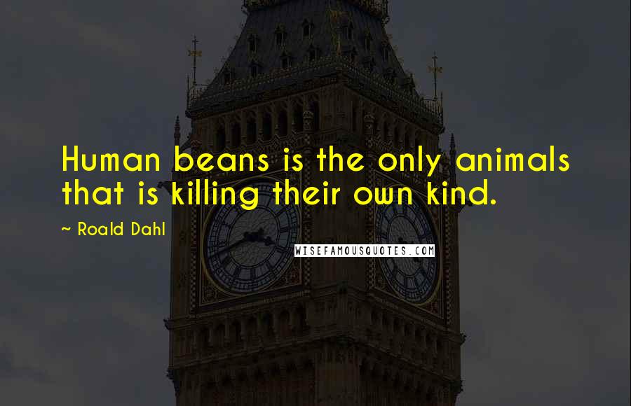 Roald Dahl Quotes: Human beans is the only animals that is killing their own kind.