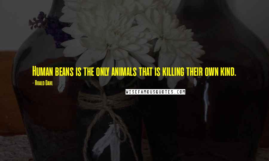 Roald Dahl Quotes: Human beans is the only animals that is killing their own kind.