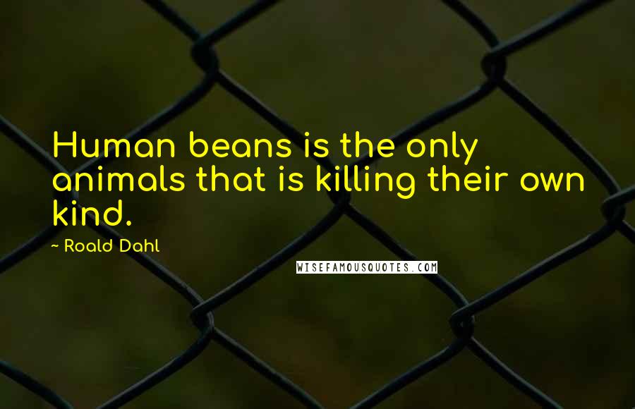 Roald Dahl Quotes: Human beans is the only animals that is killing their own kind.