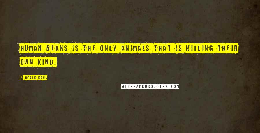 Roald Dahl Quotes: Human beans is the only animals that is killing their own kind.