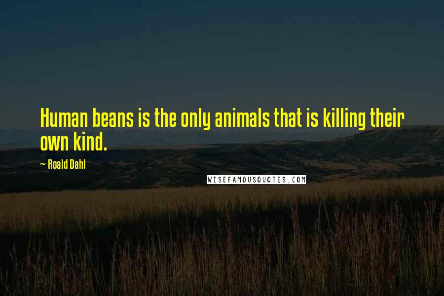 Roald Dahl Quotes: Human beans is the only animals that is killing their own kind.