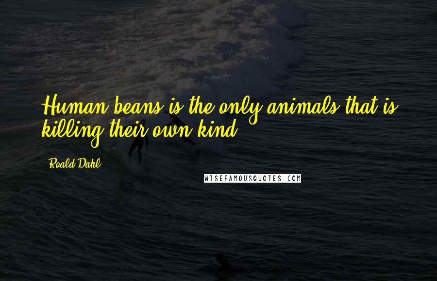Roald Dahl Quotes: Human beans is the only animals that is killing their own kind.