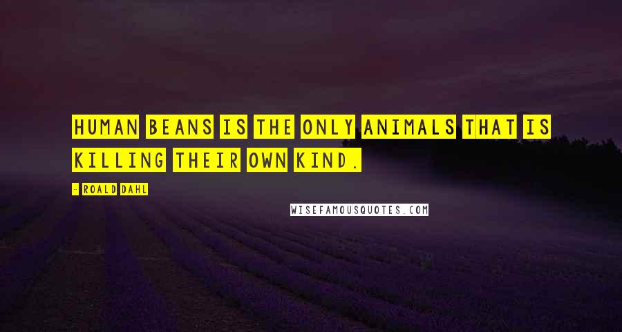 Roald Dahl Quotes: Human beans is the only animals that is killing their own kind.