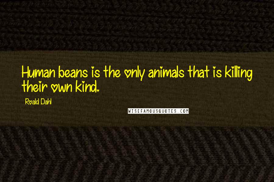 Roald Dahl Quotes: Human beans is the only animals that is killing their own kind.