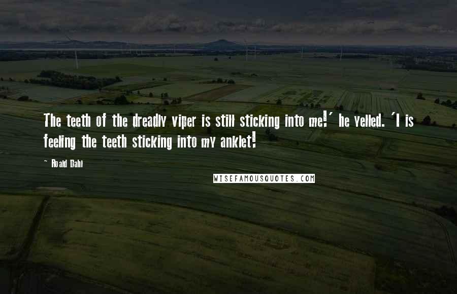 Roald Dahl Quotes: The teeth of the dreadly viper is still sticking into me!' he yelled. 'I is feeling the teeth sticking into my anklet!