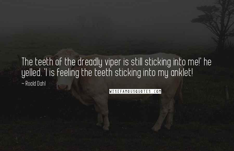 Roald Dahl Quotes: The teeth of the dreadly viper is still sticking into me!' he yelled. 'I is feeling the teeth sticking into my anklet!