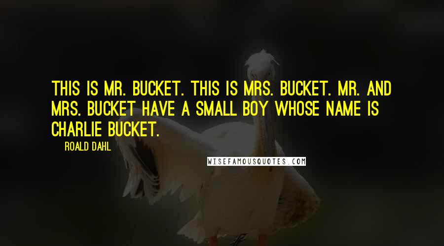 Roald Dahl Quotes: This is Mr. Bucket. This is Mrs. Bucket. Mr. and Mrs. Bucket have a small boy whose name is Charlie Bucket.