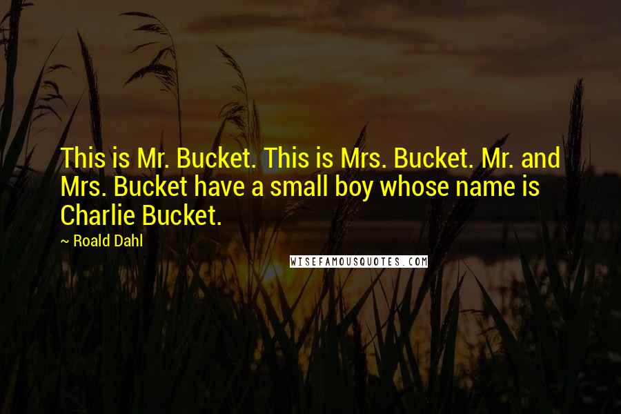 Roald Dahl Quotes: This is Mr. Bucket. This is Mrs. Bucket. Mr. and Mrs. Bucket have a small boy whose name is Charlie Bucket.
