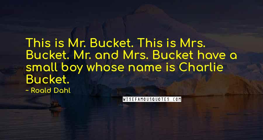 Roald Dahl Quotes: This is Mr. Bucket. This is Mrs. Bucket. Mr. and Mrs. Bucket have a small boy whose name is Charlie Bucket.