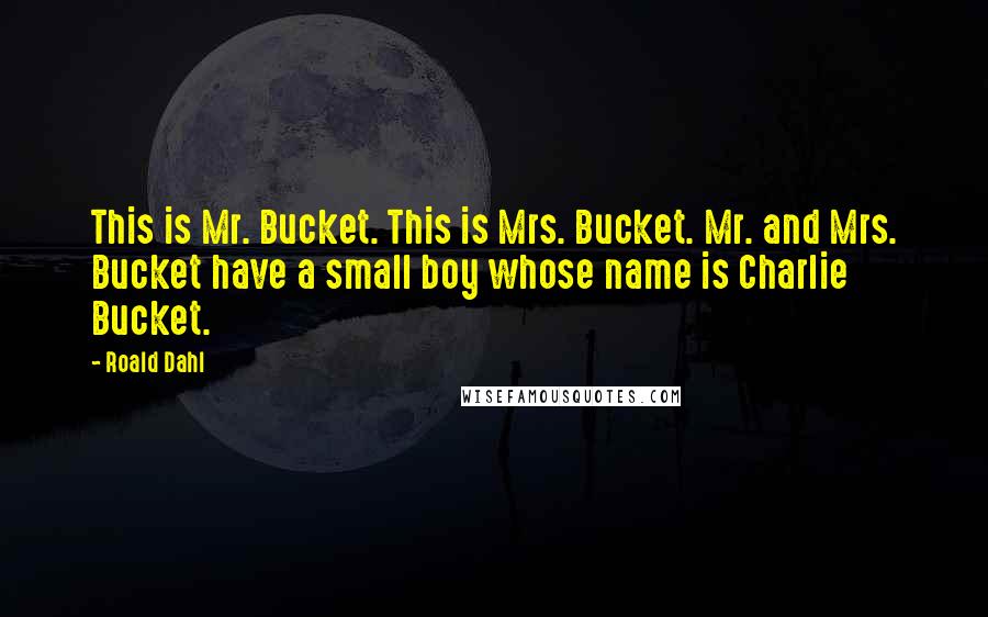 Roald Dahl Quotes: This is Mr. Bucket. This is Mrs. Bucket. Mr. and Mrs. Bucket have a small boy whose name is Charlie Bucket.