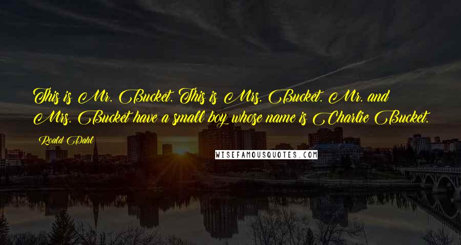 Roald Dahl Quotes: This is Mr. Bucket. This is Mrs. Bucket. Mr. and Mrs. Bucket have a small boy whose name is Charlie Bucket.