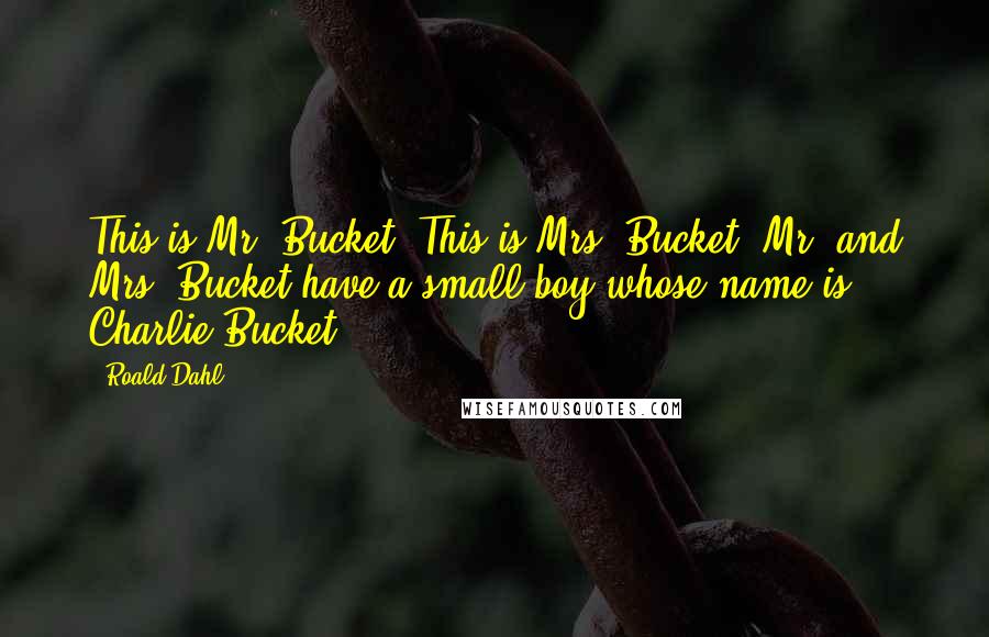 Roald Dahl Quotes: This is Mr. Bucket. This is Mrs. Bucket. Mr. and Mrs. Bucket have a small boy whose name is Charlie Bucket.