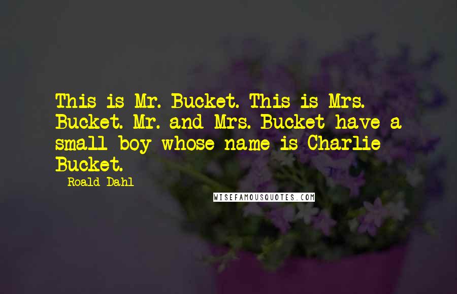 Roald Dahl Quotes: This is Mr. Bucket. This is Mrs. Bucket. Mr. and Mrs. Bucket have a small boy whose name is Charlie Bucket.