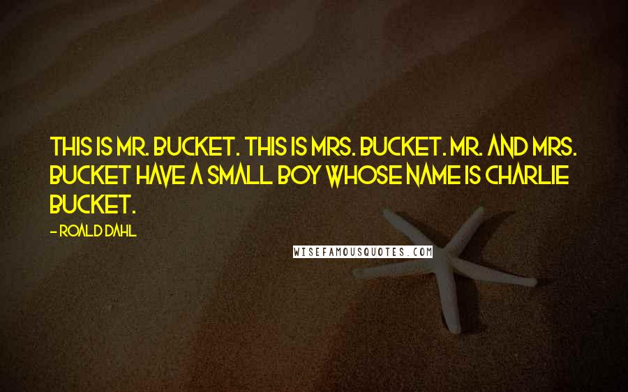 Roald Dahl Quotes: This is Mr. Bucket. This is Mrs. Bucket. Mr. and Mrs. Bucket have a small boy whose name is Charlie Bucket.