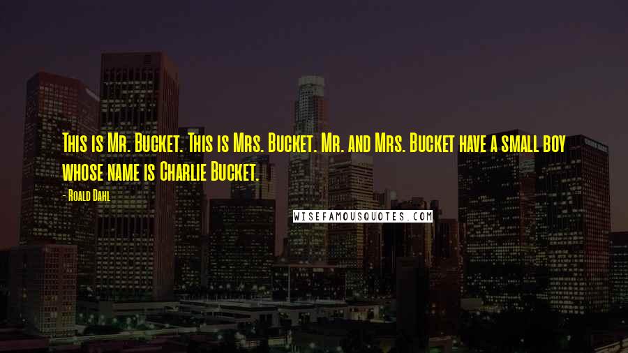 Roald Dahl Quotes: This is Mr. Bucket. This is Mrs. Bucket. Mr. and Mrs. Bucket have a small boy whose name is Charlie Bucket.