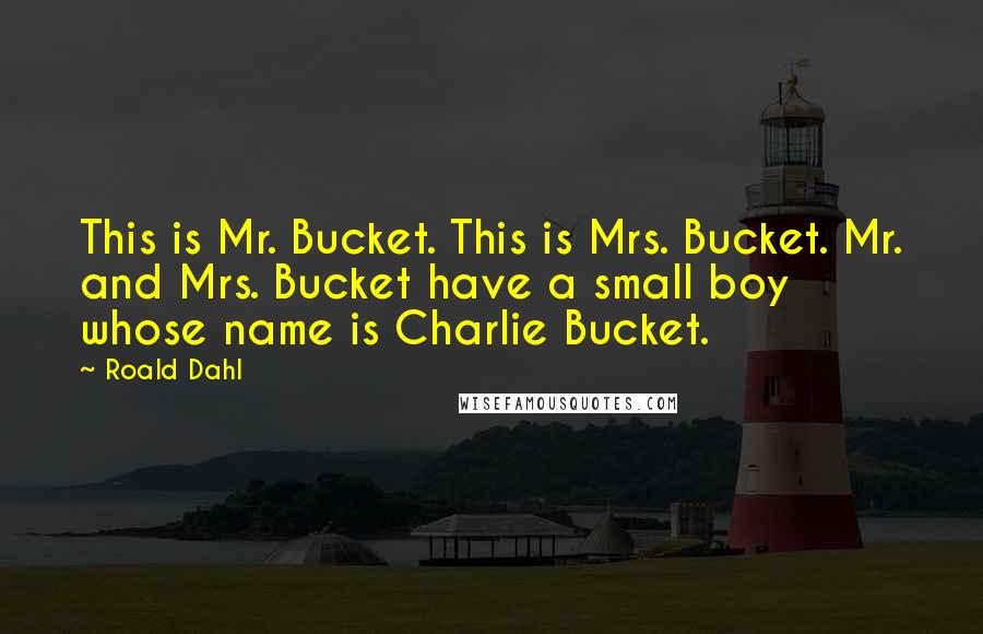 Roald Dahl Quotes: This is Mr. Bucket. This is Mrs. Bucket. Mr. and Mrs. Bucket have a small boy whose name is Charlie Bucket.