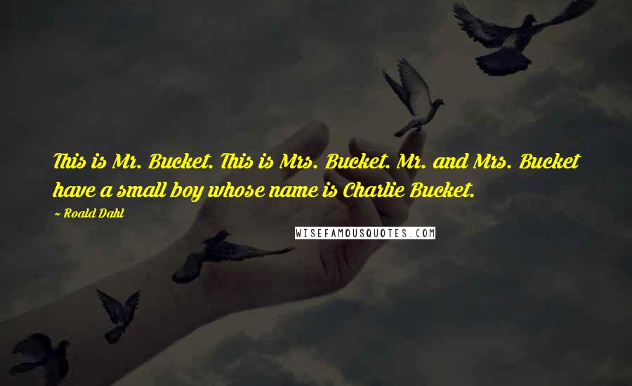 Roald Dahl Quotes: This is Mr. Bucket. This is Mrs. Bucket. Mr. and Mrs. Bucket have a small boy whose name is Charlie Bucket.