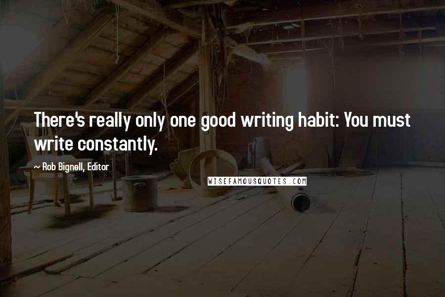 Rob Bignell, Editor Quotes: There's really only one good writing habit: You must write constantly.