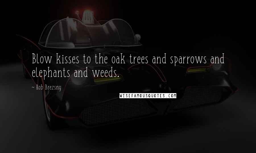 Rob Brezsny Quotes: Blow kisses to the oak trees and sparrows and elephants and weeds.