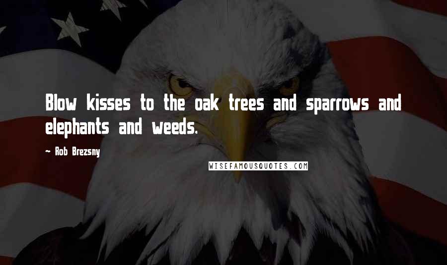 Rob Brezsny Quotes: Blow kisses to the oak trees and sparrows and elephants and weeds.