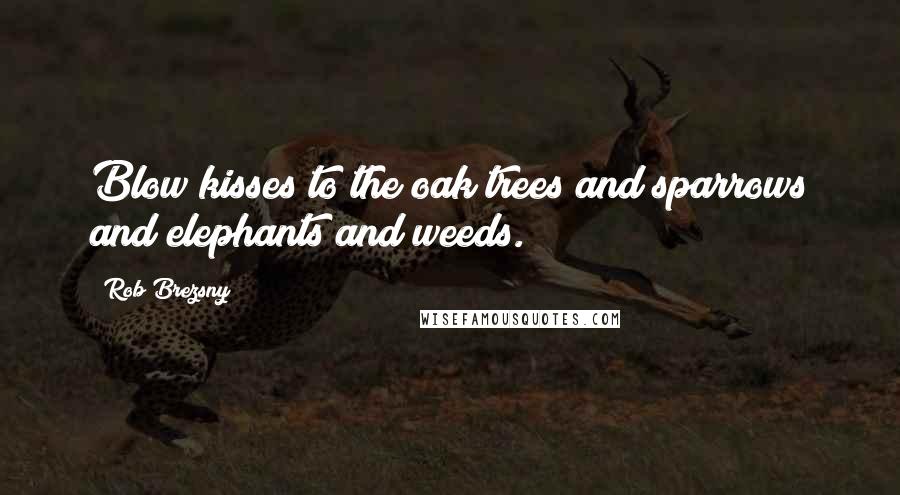 Rob Brezsny Quotes: Blow kisses to the oak trees and sparrows and elephants and weeds.
