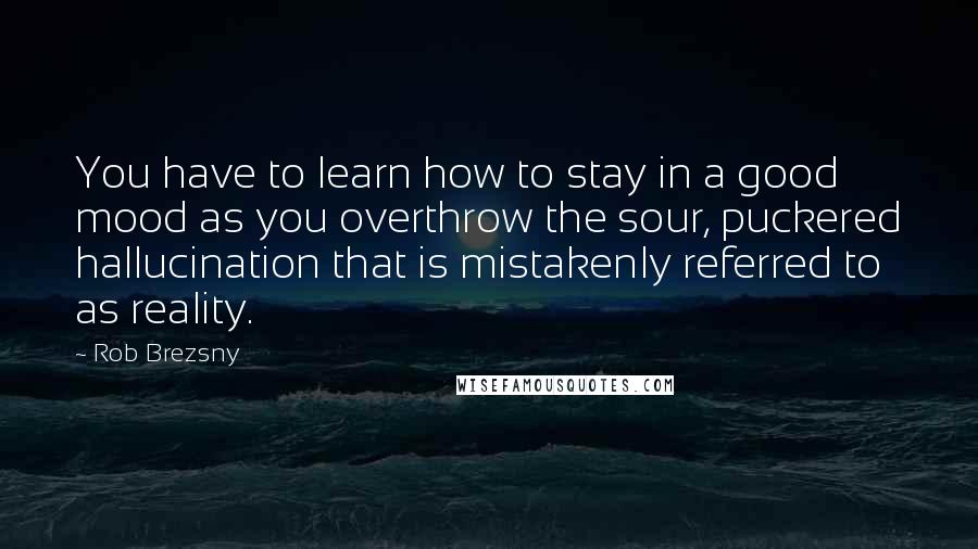 Rob Brezsny Quotes: You have to learn how to stay in a good mood as you overthrow the sour, puckered hallucination that is mistakenly referred to as reality.