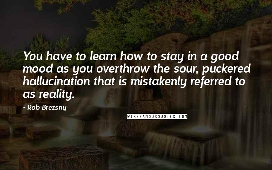 Rob Brezsny Quotes: You have to learn how to stay in a good mood as you overthrow the sour, puckered hallucination that is mistakenly referred to as reality.